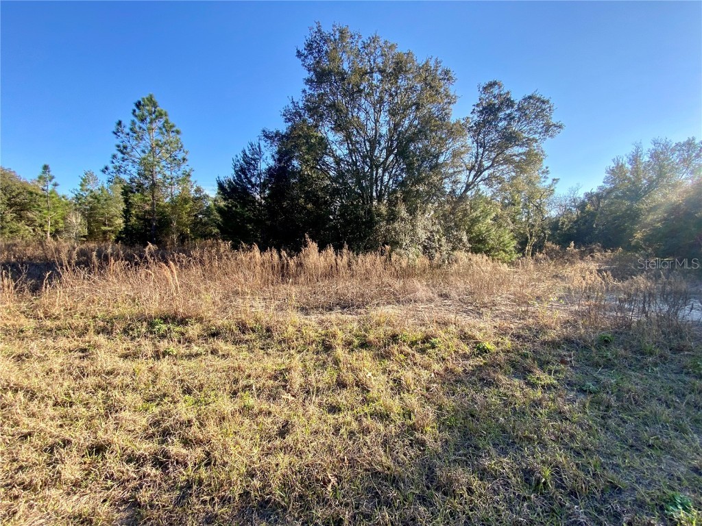 Lot 8 Rainbow Lakes Estates Boulevard N Dunnellon FL 34431 - BONABLE LAKE AND TIGER LAKE OM671849 image1