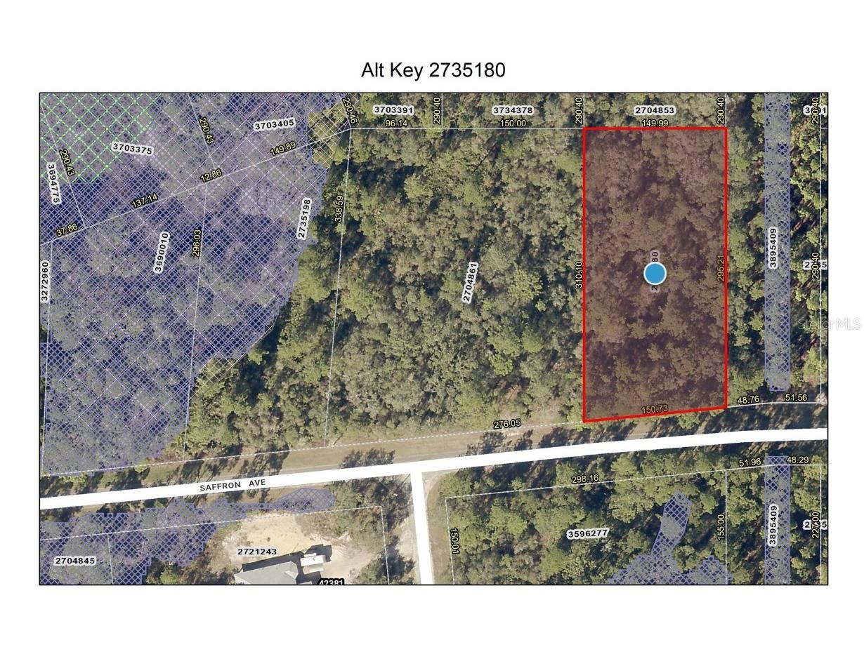Lot 8 Saffron Avenue Eustis FL 32736 - LAKE NORRIS O6117529 image1