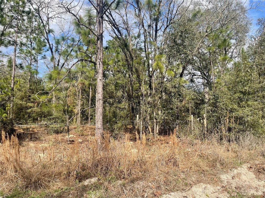 Lot #8 SE 73rd Place Morriston FL 32668 OM652421 image1