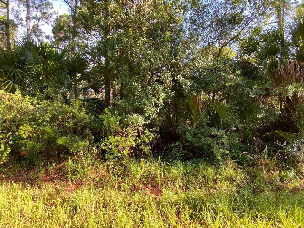 Lot 8 Sultan Avenue North Port FL 34286 T3400082 image2