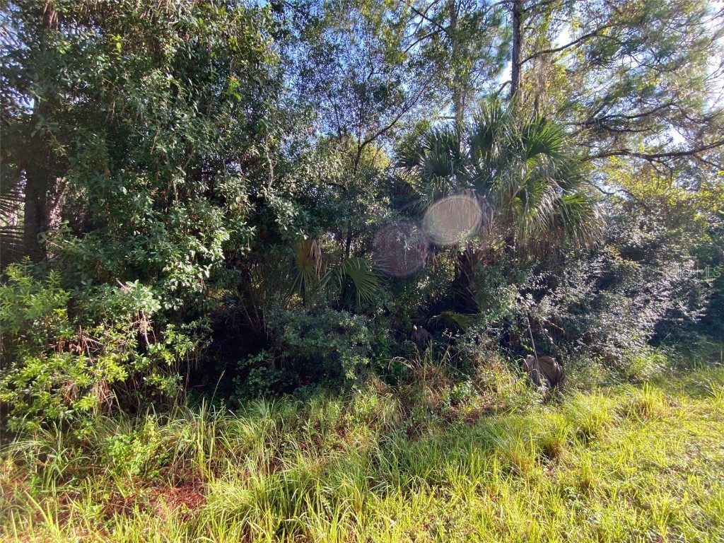 Lot 8 Sultan Avenue North Port FL 34286 T3400082 image3