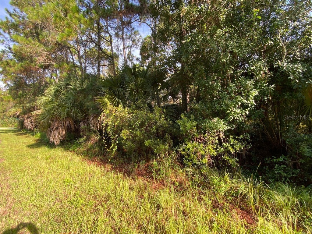 Lot 8 Sultan Avenue North Port FL 34286 T3400082 image4