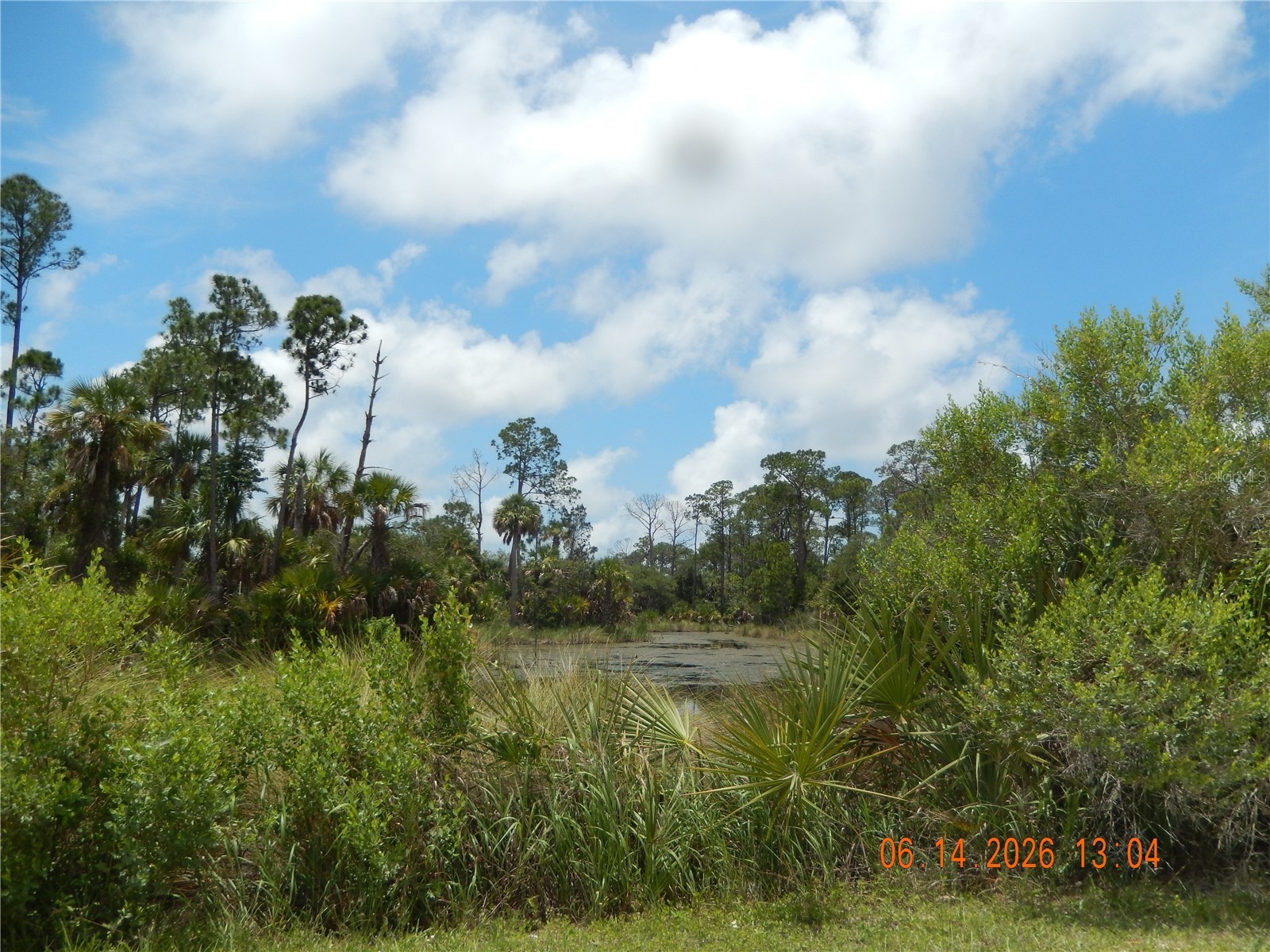 Lot 8 SW 104 Street Cedar Key FL 32625 GC525879 image8