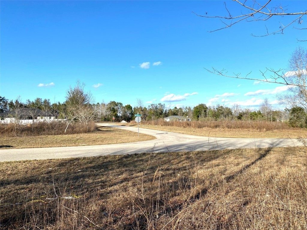 Lot 8 SW 151st Street Road Ocala FL 34473 OM652558 image1