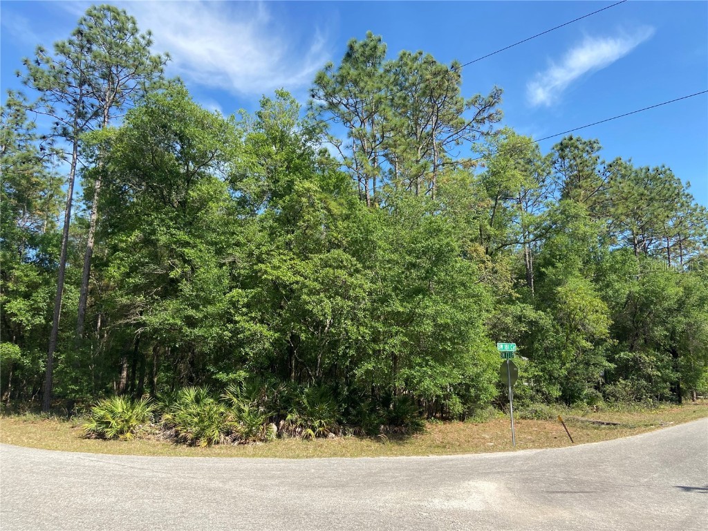 Lot 8 SW 181 Circle Dunnellon FL 34432 OM656543 image1