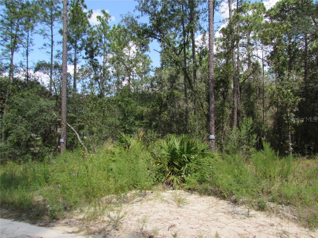 Lot 8 SW 40th Street Dunnellon FL 34432 OM664271 image1