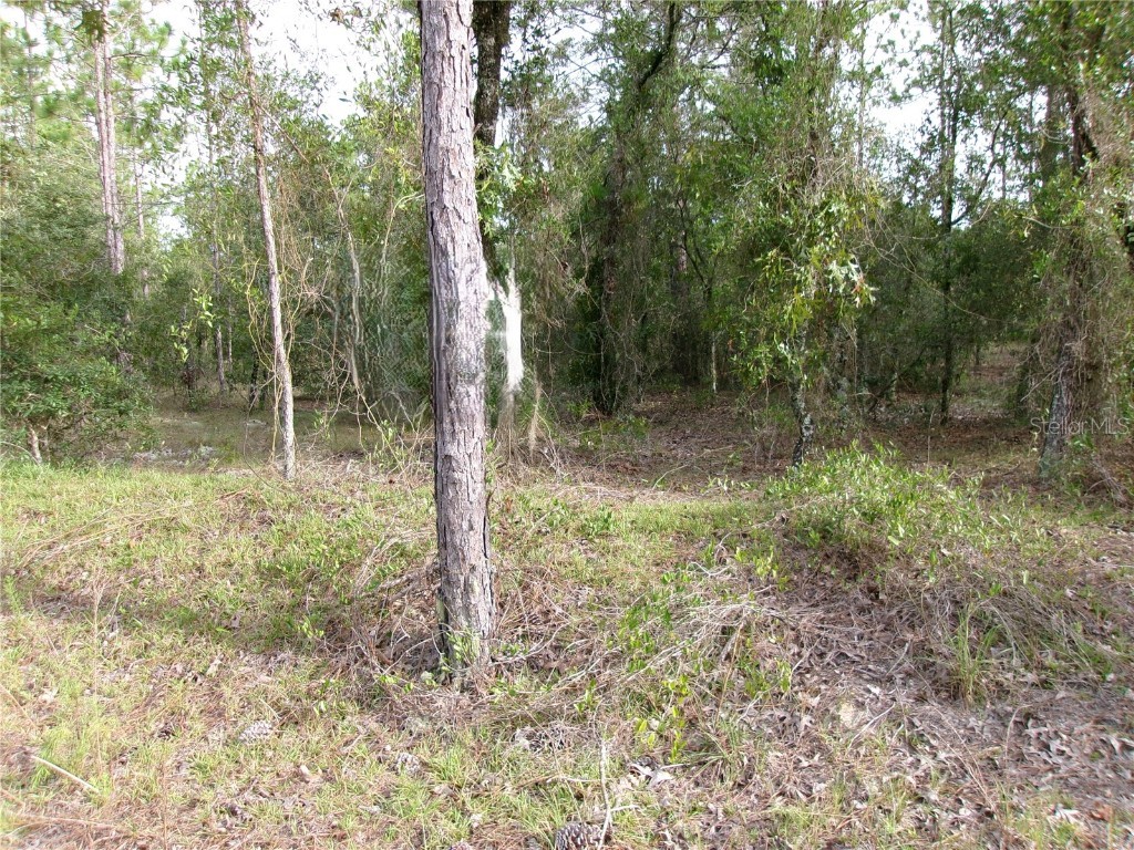 Lot 8 SW Nautilus Boulevard Dunnellon FL 34431 OM706813 image1