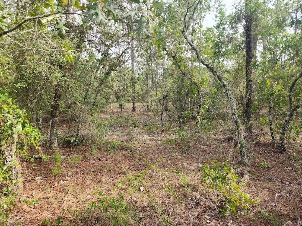 Lot 8 SW Nautilus Boulevard Dunnellon FL 34431 OM706813 image6