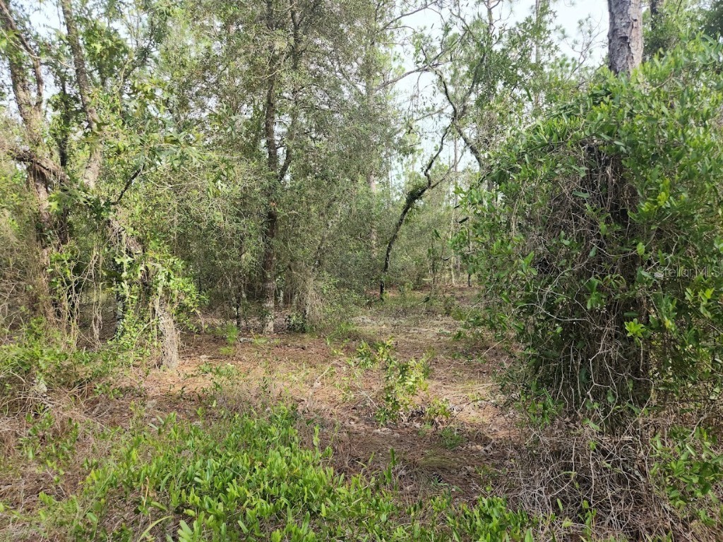 Lot 8 SW Nautilus Boulevard Dunnellon FL 34431 OM706813 image7