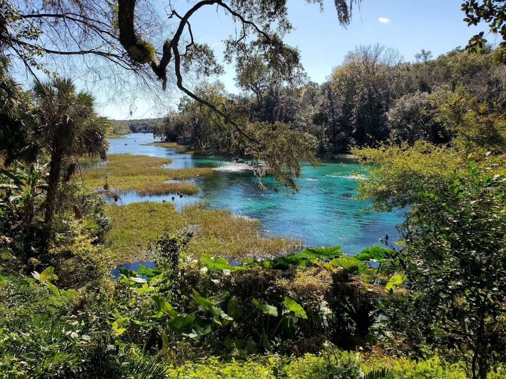 Lot 8 SW Nautilus Boulevard Dunnellon FL 34431 OM706813 image8