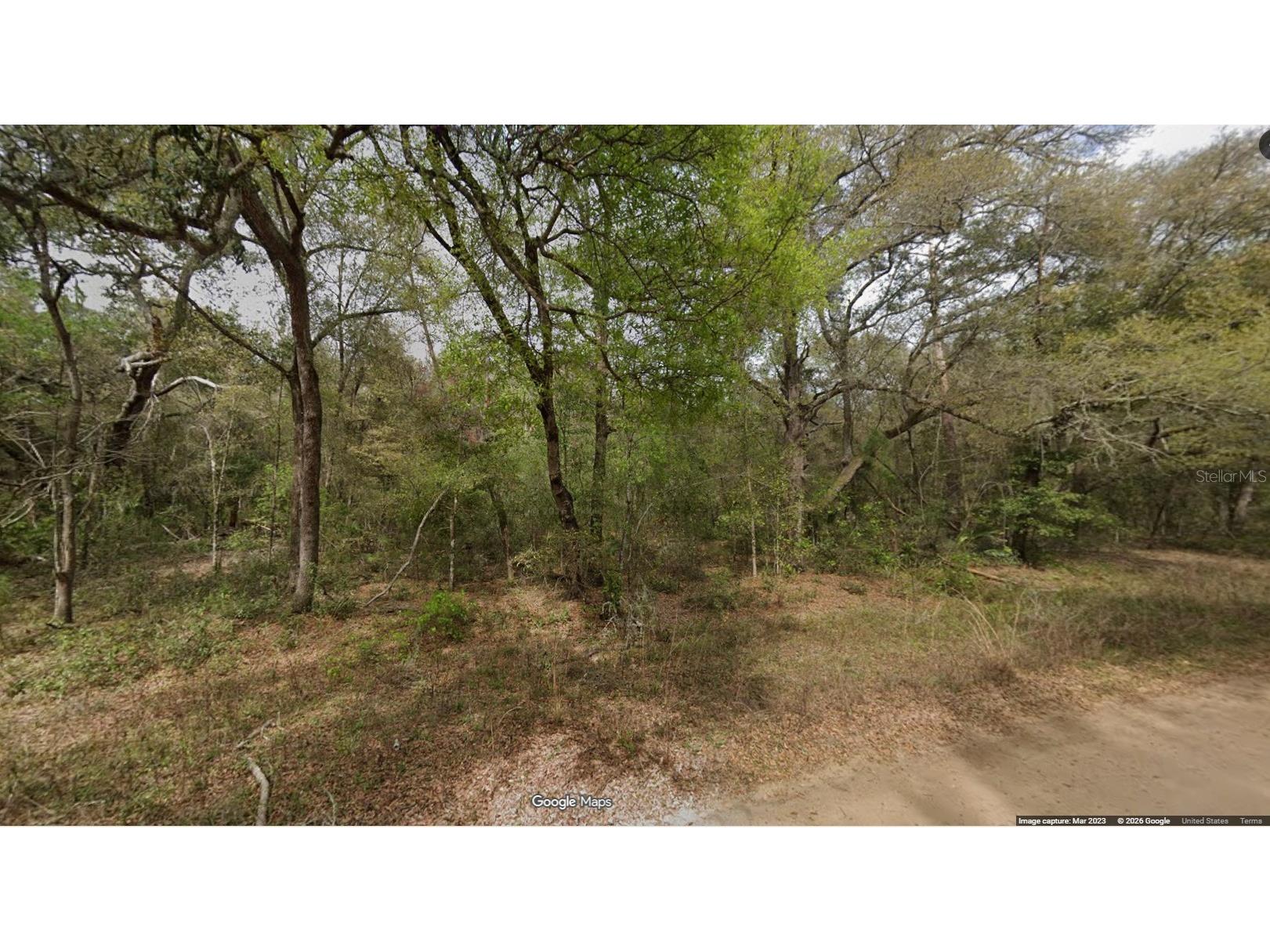 Lot 8 Unit 7 Blk 42 Buckles Avenue Interlachen FL 32148 OM727836 image1