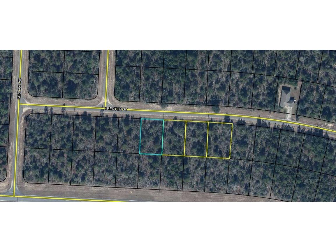 Lot 8 Unit 7 Blk 458 Trenton Street Chipley FL 32428 OM727921 image3