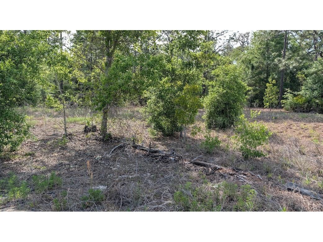 Lot 88 SW 152 Nd Court Ocala FL 34481 OM723093 image2