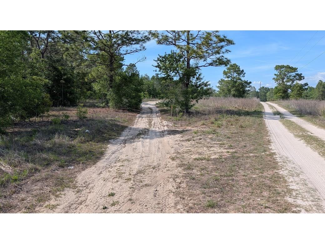 Lot 88 SW 152 Nd Court Ocala FL 34481 OM723093 image5