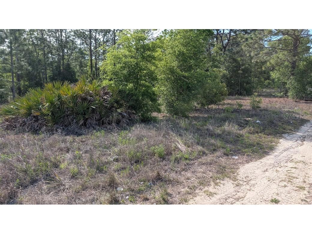 Lot 88 SW 152 Nd Court Ocala FL 34481 OM723093 image6