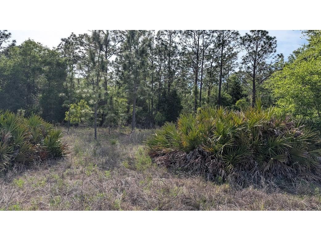 Lot 88 SW 152 Nd Court Ocala FL 34481 OM723093 image7