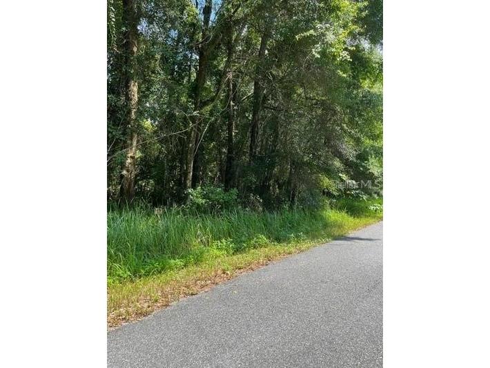 Lot 9 NW 13 Court Ocala FL 34475 OM674866 image1