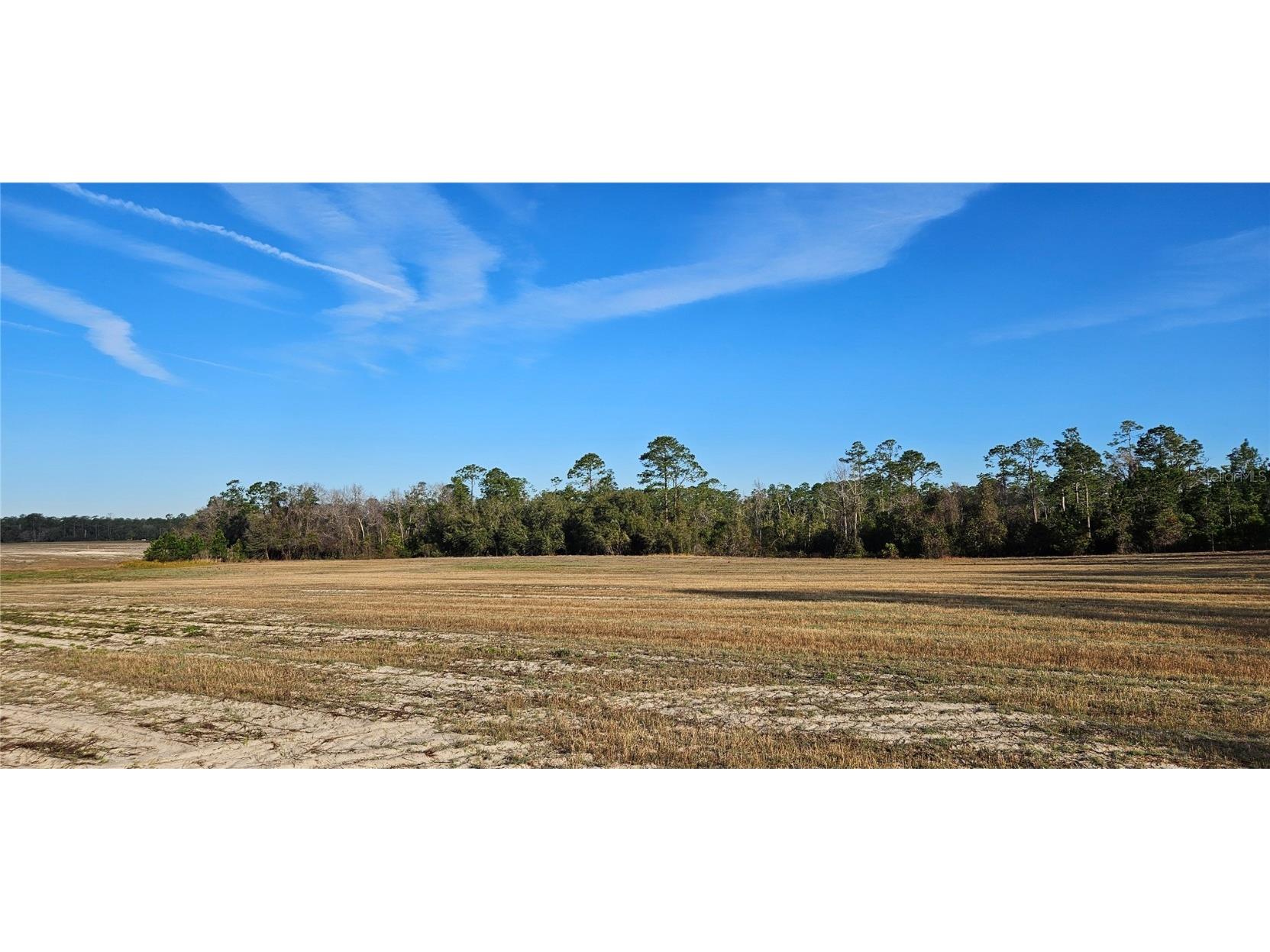 Lot 9 - 17.62ac E Hwy 318 Citra FL 32113 OM697397 image1