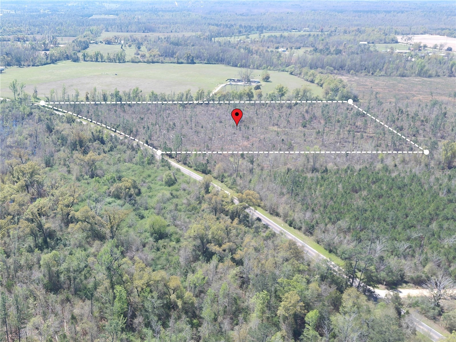 Lot 9 Bethlehem Road Cottondale FL 32431 TB8328459 image1