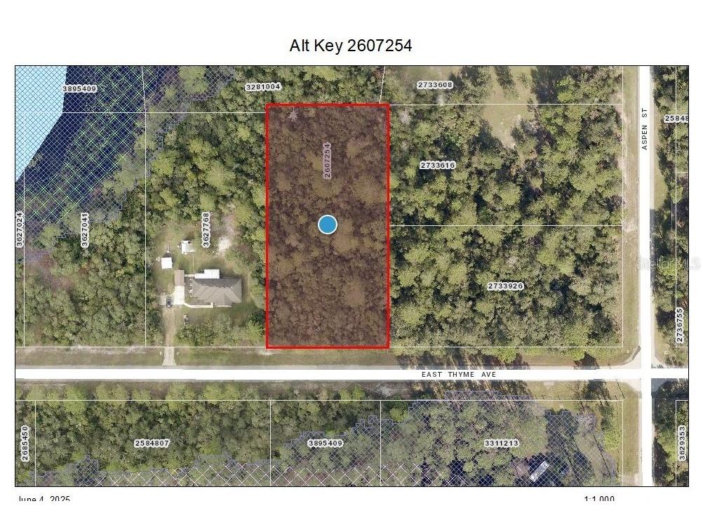 Lot 9 E Thyme Avenue Eustis FL 32736 - LAKE NORRIS O6318999 image1