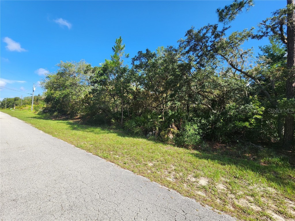 Lot 9 E Thyme Avenue Eustis FL 32736 - LAKE NORRIS O6318999 image2