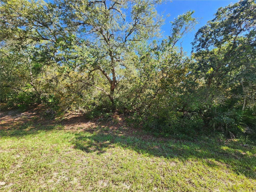 Lot 9 E Thyme Avenue Eustis FL 32736 - LAKE NORRIS O6318999 image4