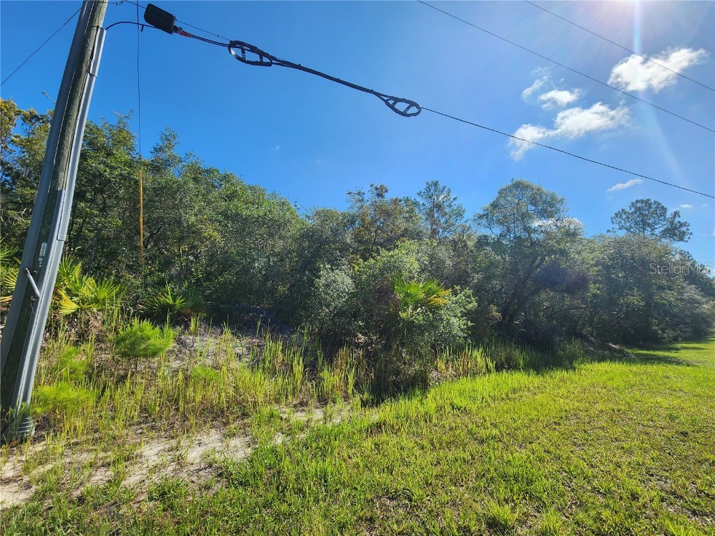 Lot 9 E Thyme Avenue Eustis FL 32736 - LAKE NORRIS O6318999 image5