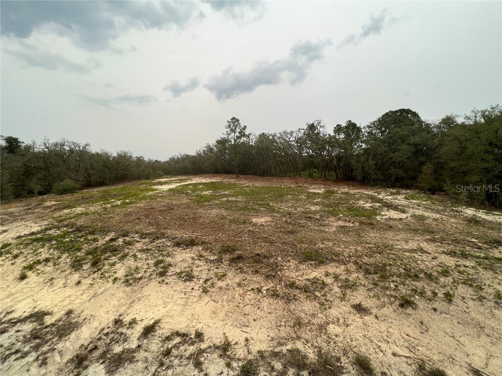 Lot 9 Grindstone Drive Webster FL 33597 T3445379 image1