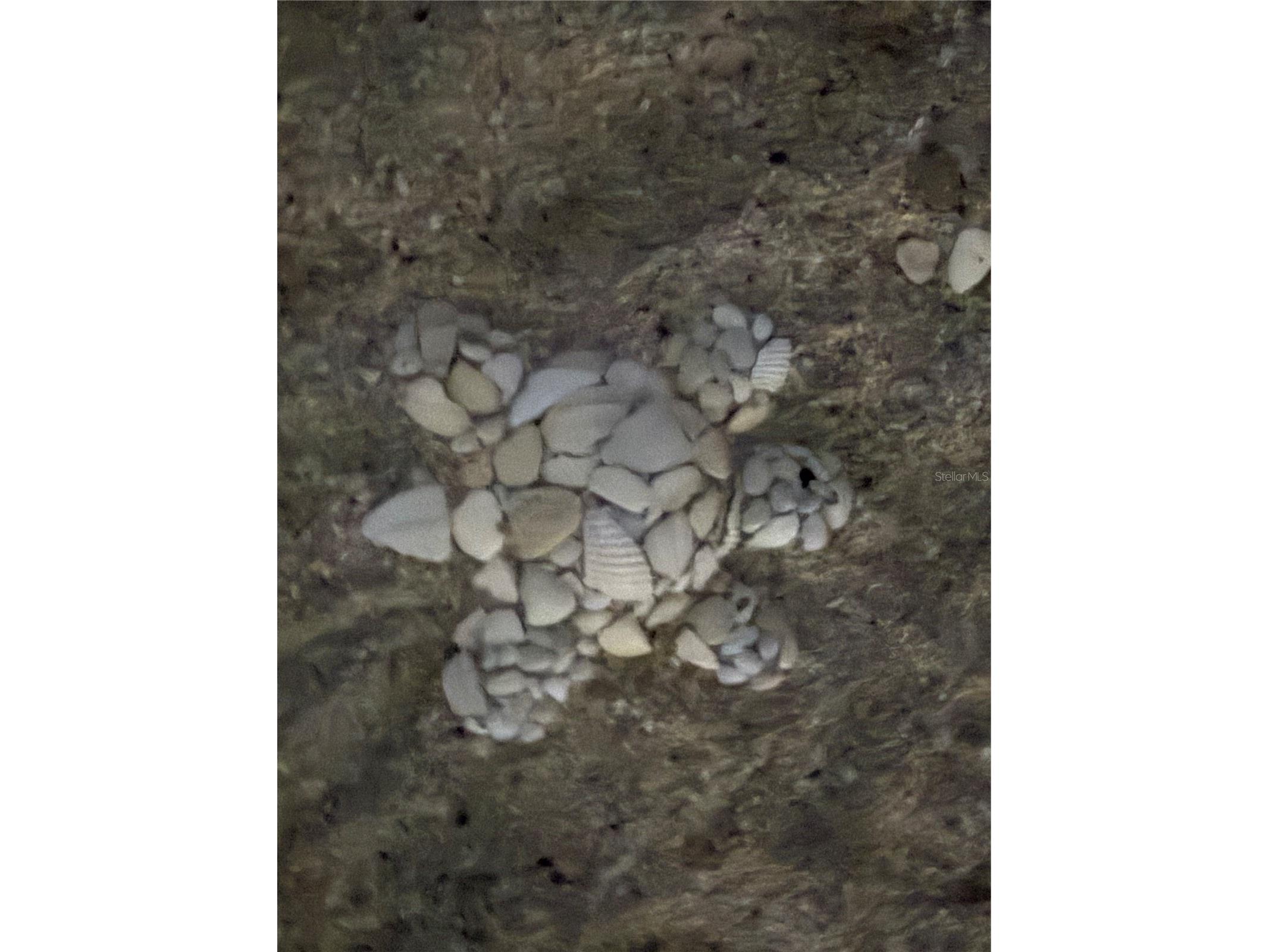 Lot 9 Honeycomb Circle North Port FL 34291 C7520868 image10