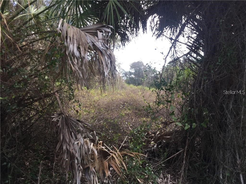 Lot 9 Honeycomb Circle North Port FL 34291 C7520868 image3