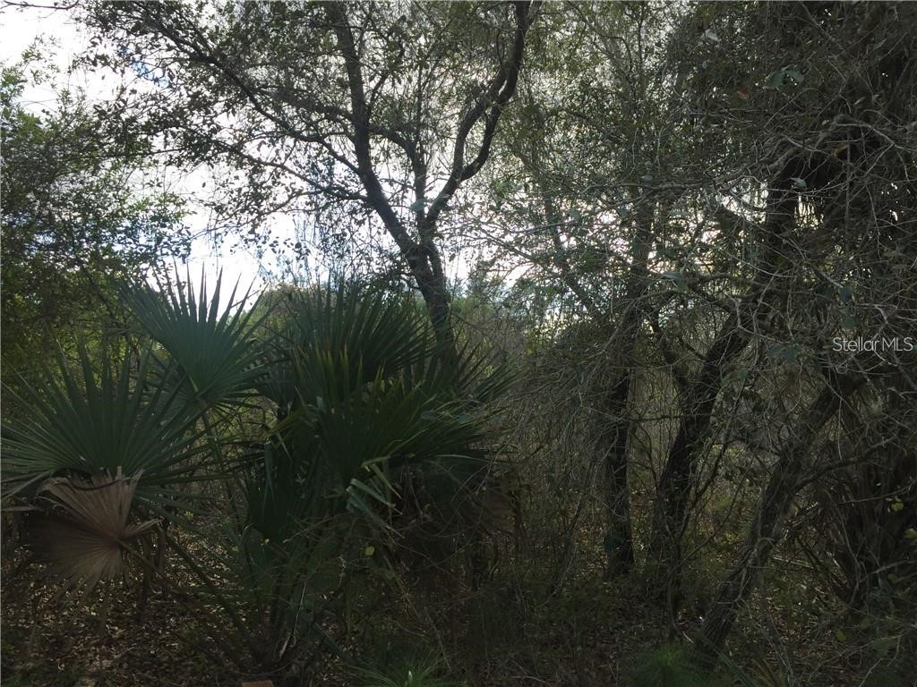 Lot 9 Honeycomb Circle North Port FL 34291 C7520868 image5