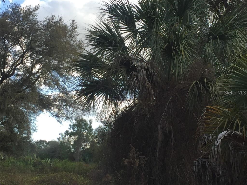 Lot 9 Honeycomb Circle North Port FL 34291 C7520868 image6