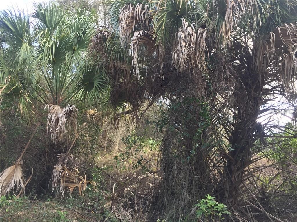 Lot 9 Honeycomb Circle North Port FL 34291 C7520868 image9