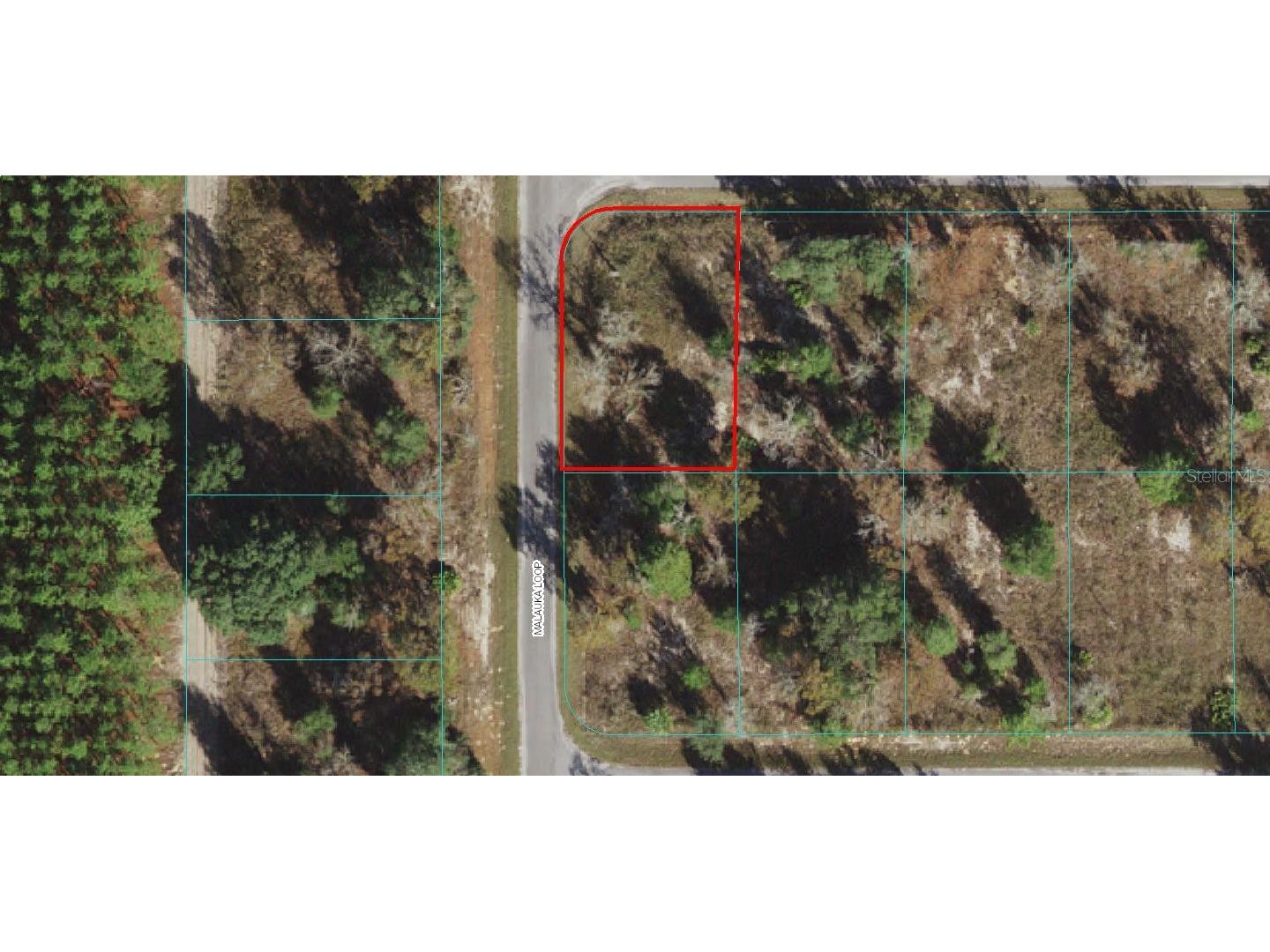 Lot 9 Malauka Loop Ocklawaha FL 32179 OM662681 image1