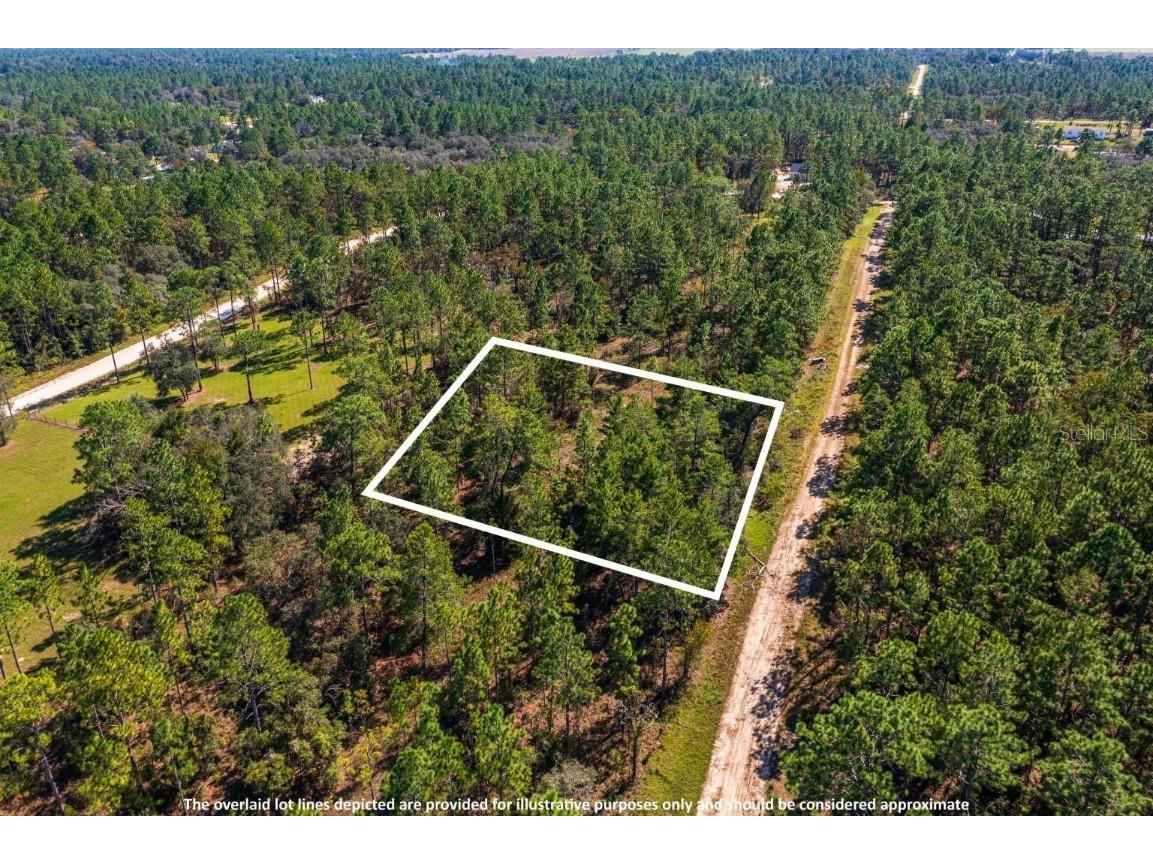 Lot #9 NE 133rd Terrace Williston FL 32696 TB8314942 image1