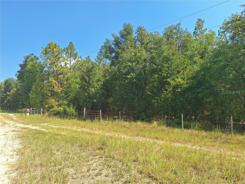 Lot 9 NW 73rd Way Bell FL 32619 GC534289 image1