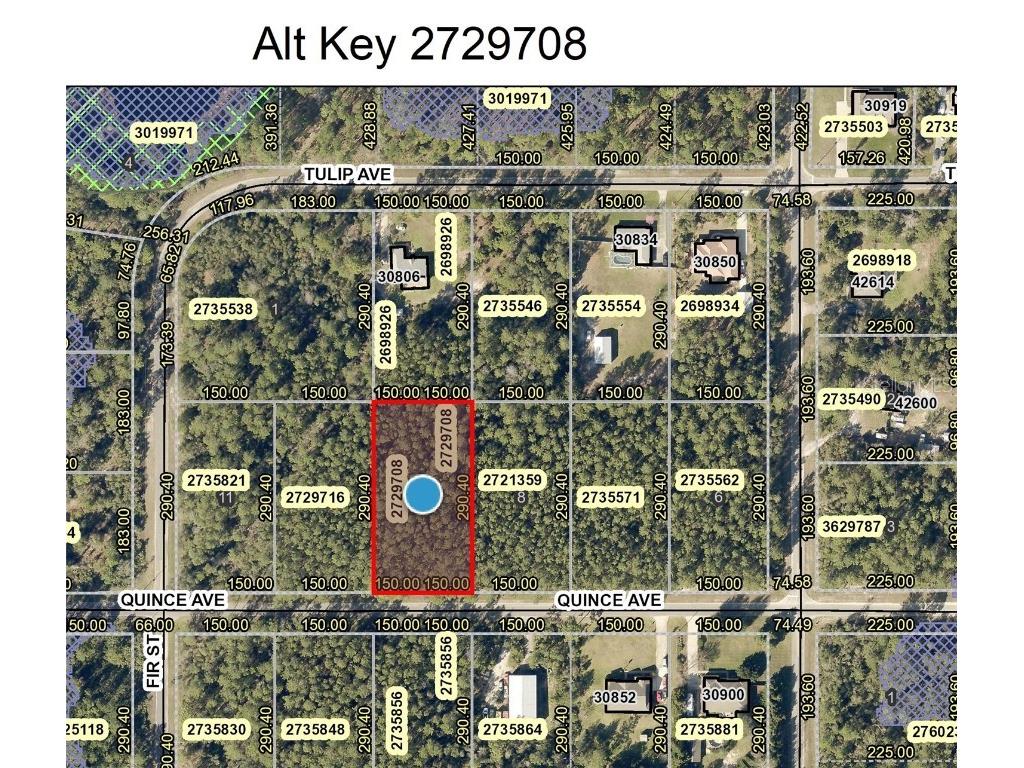 Lot 9 Quince Avenue Eustis FL 32736 - LAKE NORRIS O6034438 image1