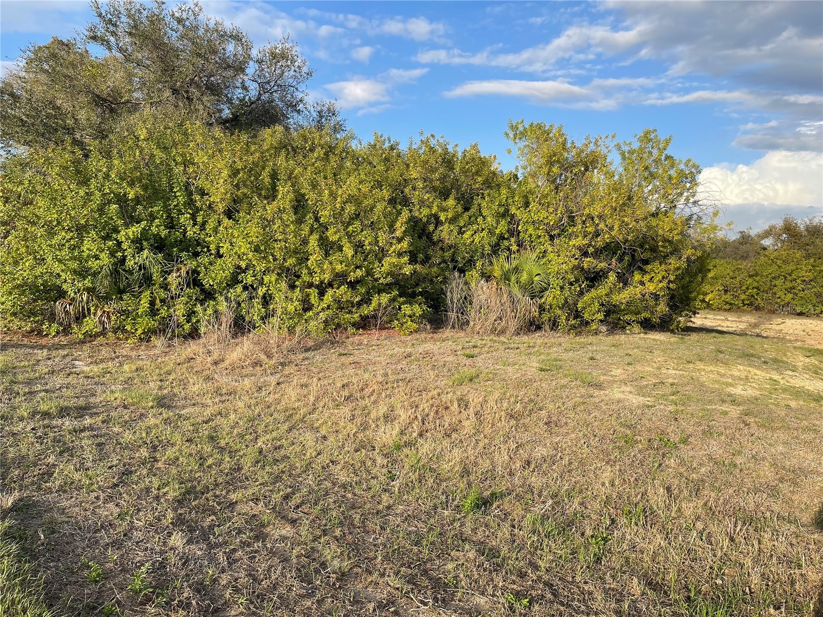 Lot #9 S Lipscomb Street North Port FL 34287 C7523045 image2