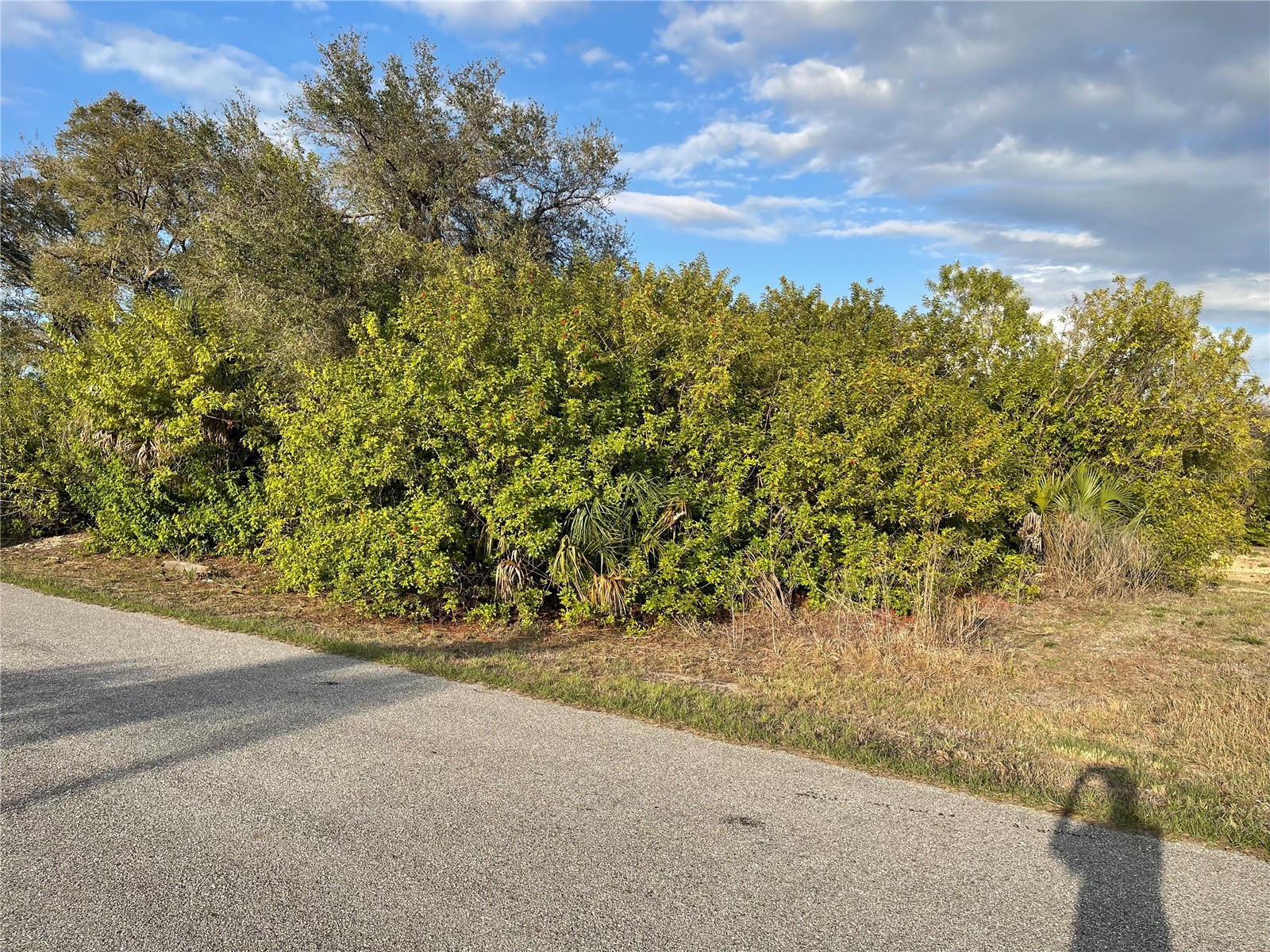 Lot #9 S Lipscomb Street North Port FL 34287 C7523045 image3
