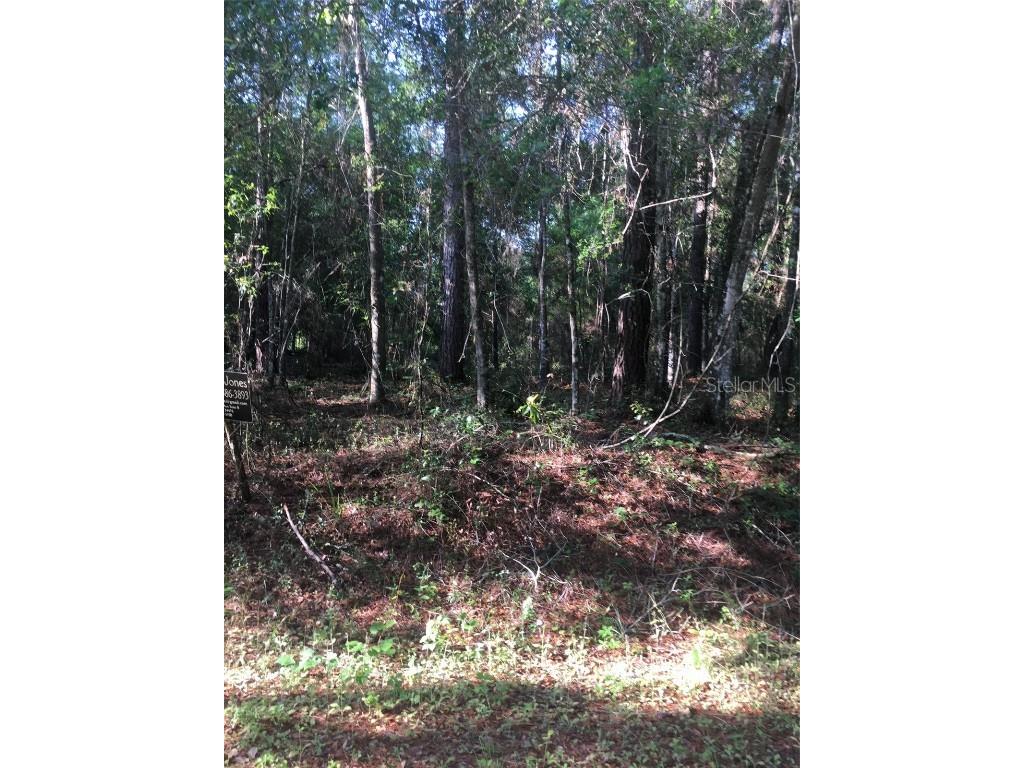 Lot 9 SE 100 Place Ocklawaha FL 32179 OM657993 image1