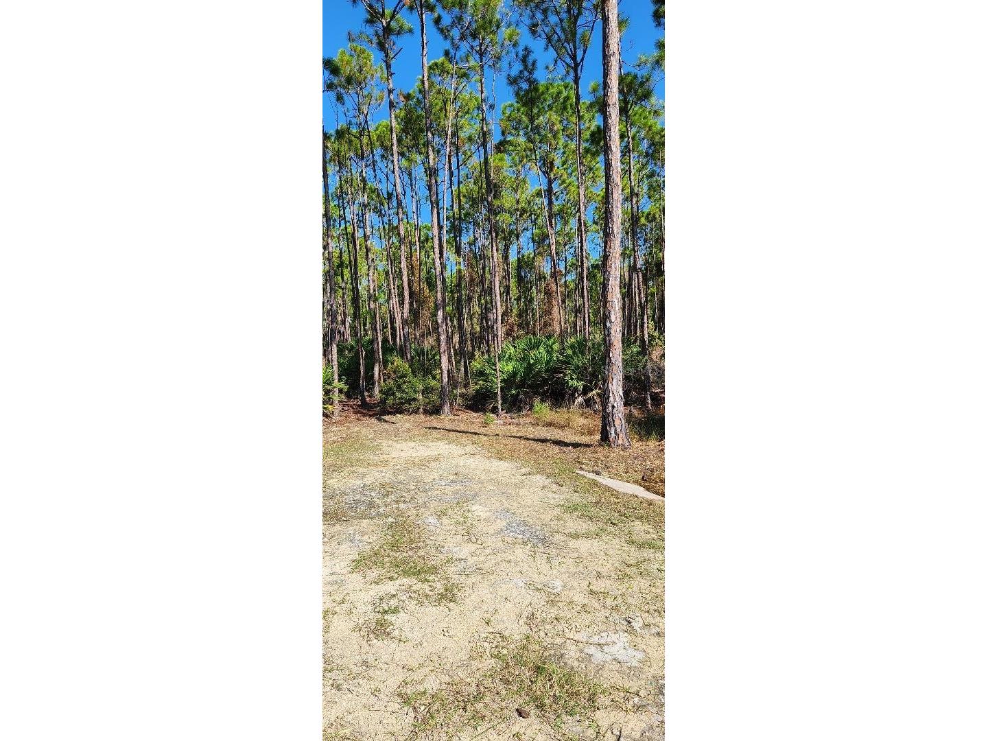 Lot 9 SW 104 Street Cedar Key FL 32625 GC520763 image10