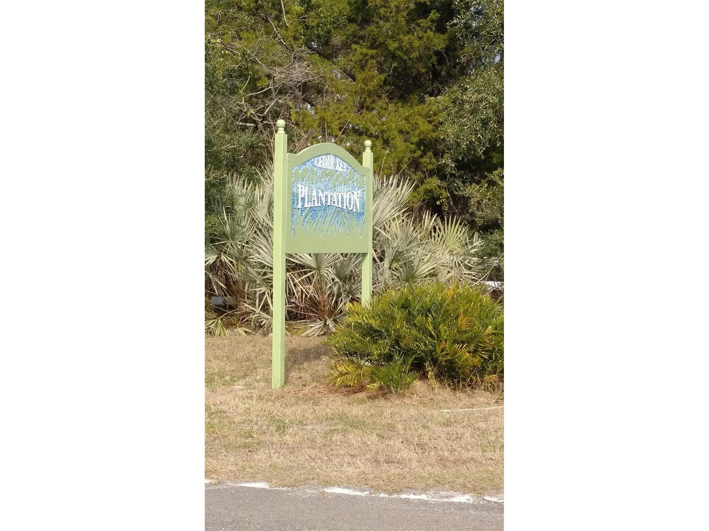 Lot 9 SW 104 Street Cedar Key FL 32625 GC520763 image6