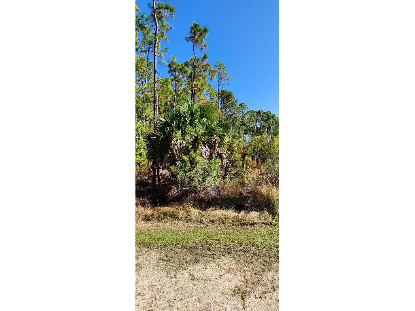 Lot 9 SW 104 Street Cedar Key FL 32625 GC520763 image7