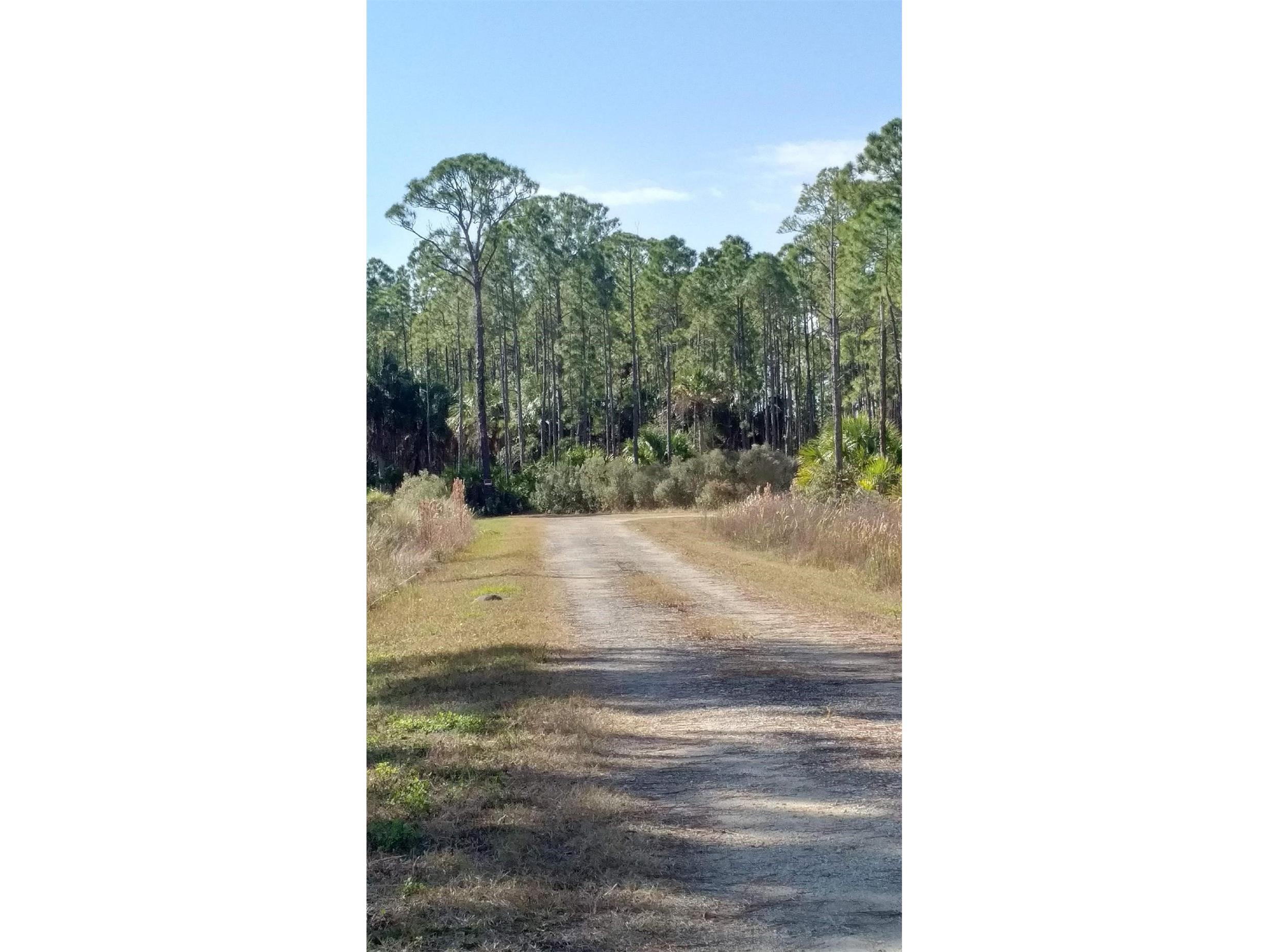 Lot 9 SW 104 Street Cedar Key FL 32625 GC520763 image8