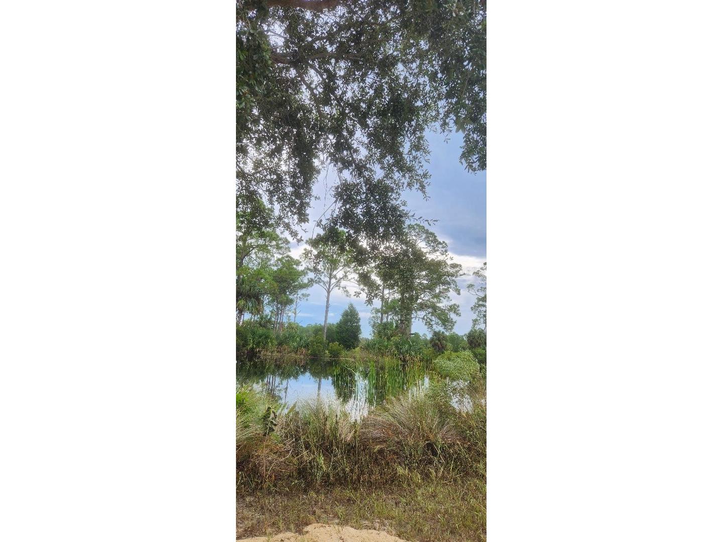 Lot 9 SW 104 Street Cedar Key FL 32625 GC520763 image9