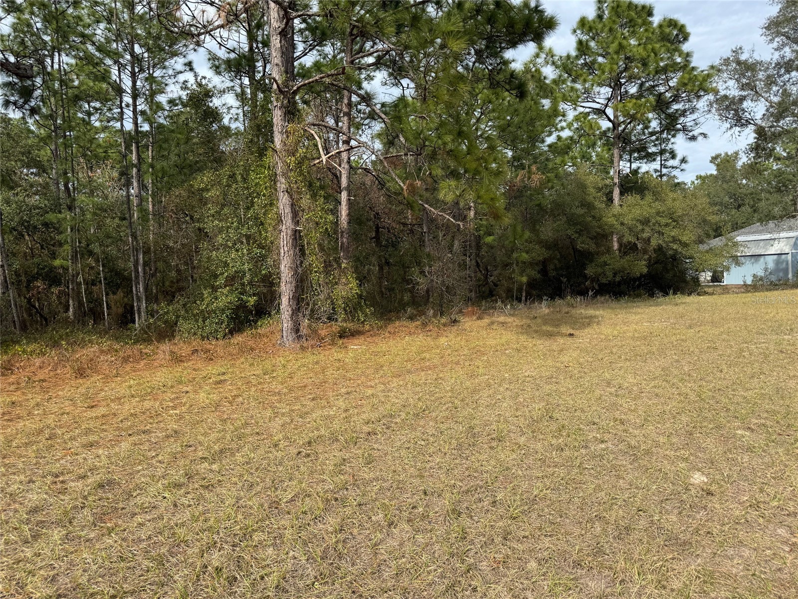 Lot 9 SW 61st Avenue Road Ocala FL 34473 OM693369 image10