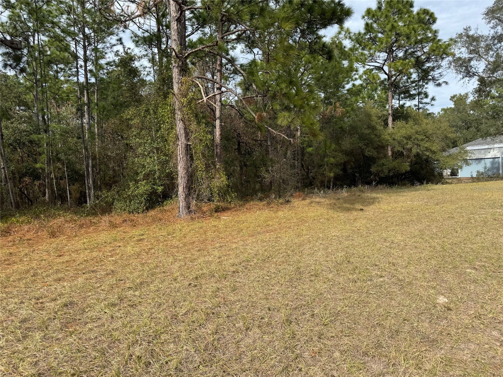 Lot 9 SW 61st Avenue Road Ocala FL 34473 OM693369 image11