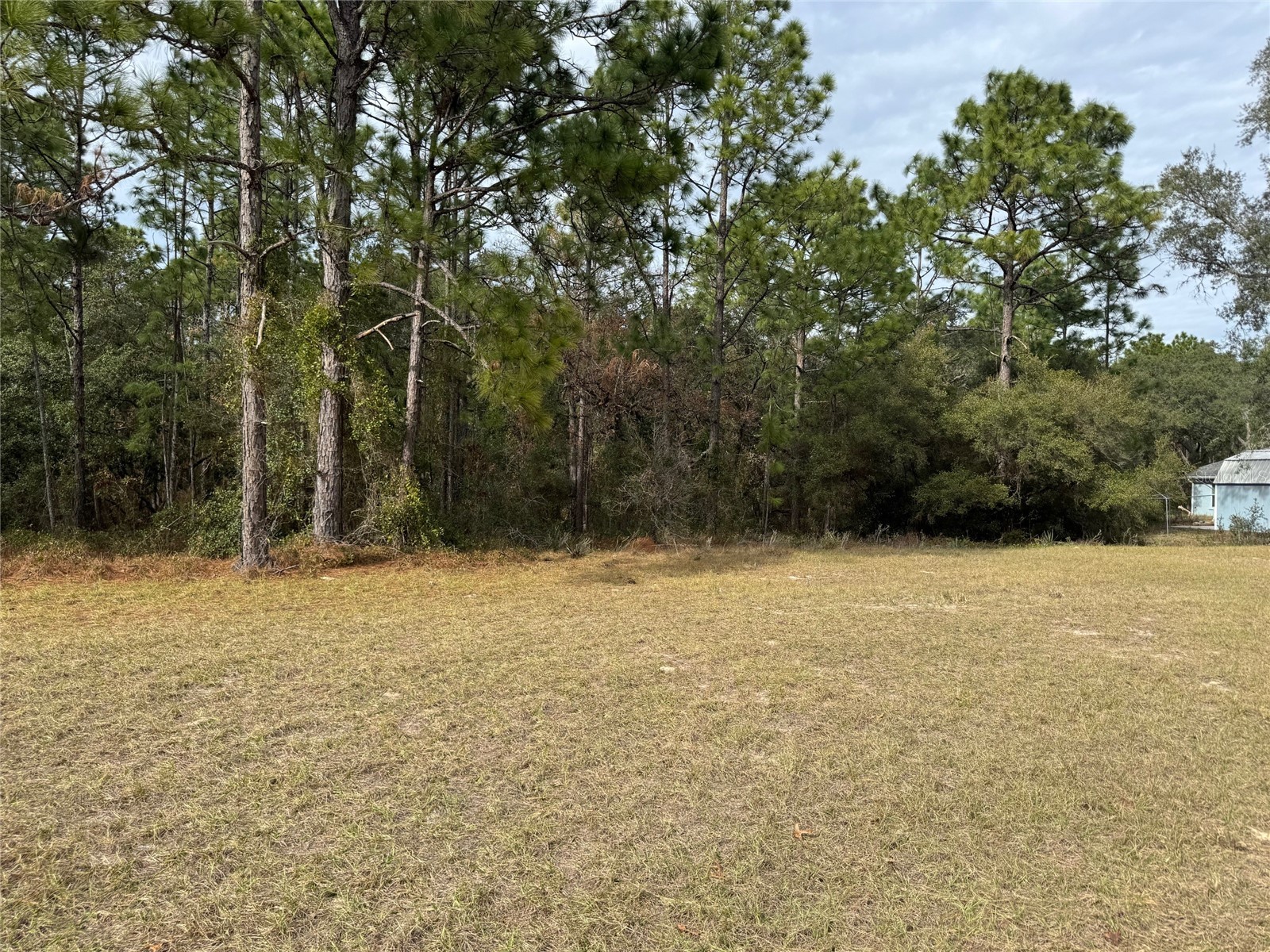 Lot 9 SW 61st Avenue Road Ocala FL 34473 OM693369 image3
