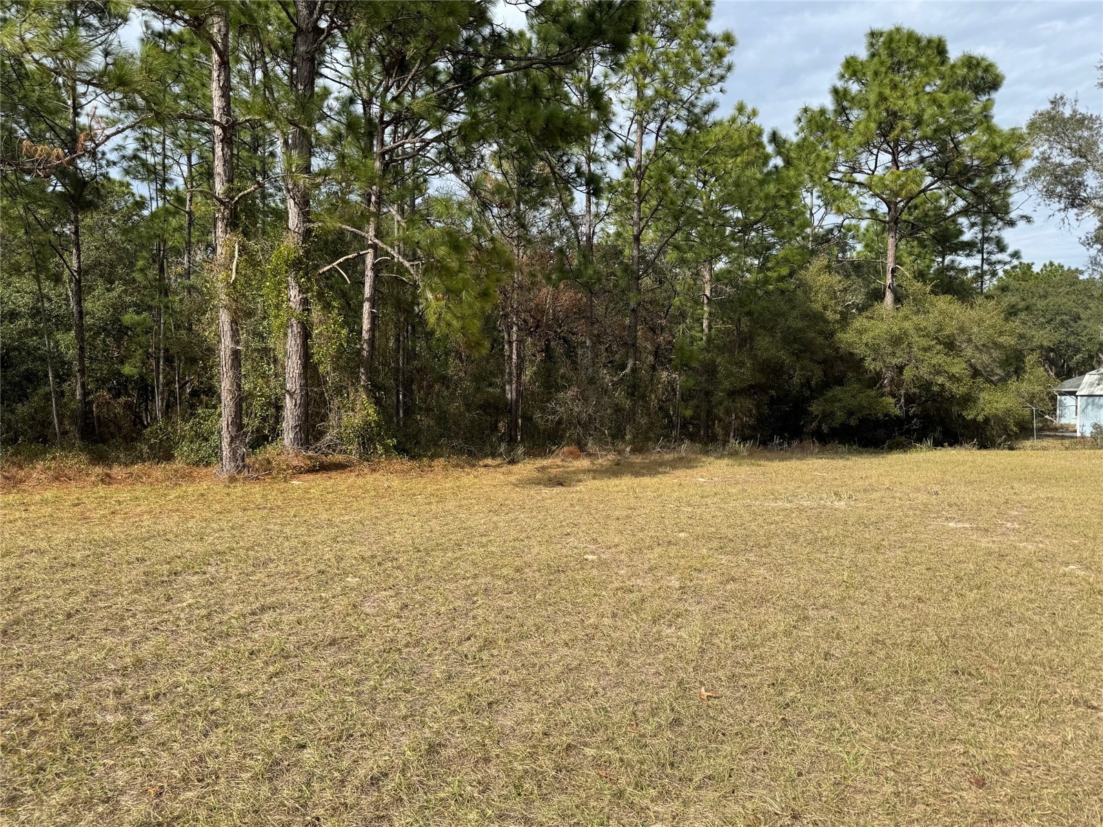 Lot 9 SW 61st Avenue Road Ocala FL 34473 OM693369 image4