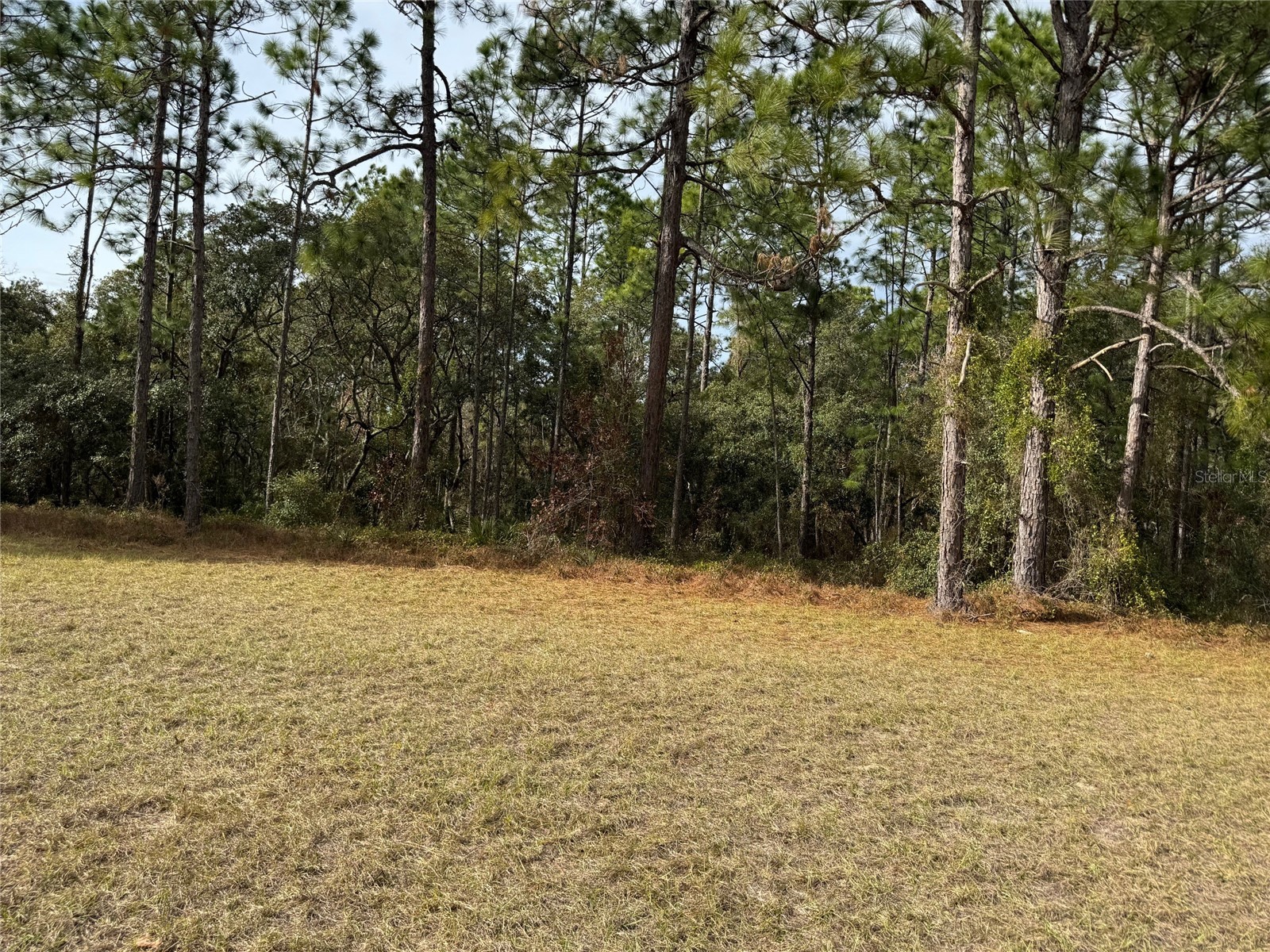 Lot 9 SW 61st Avenue Road Ocala FL 34473 OM693369 image5